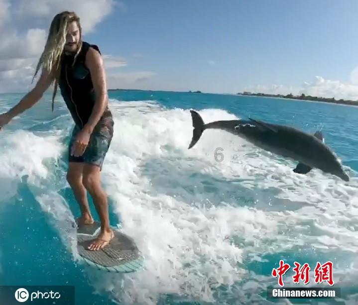 家人真是傻！帮他们缴医疗保险，养老保险！他们还以为可以随便输入个名字和号码就可以缴费呢！问这问那？游戏画面