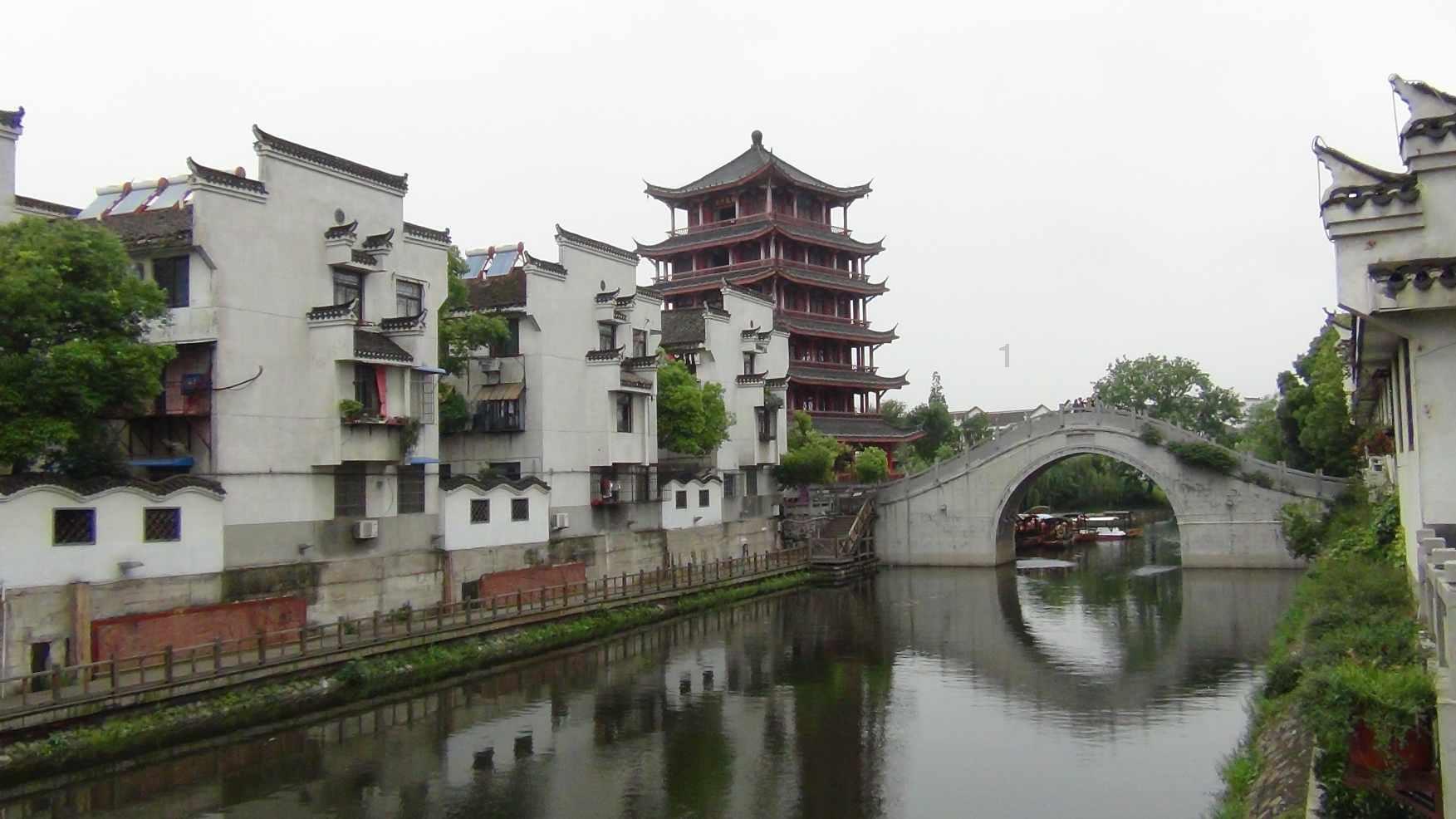 拯救昆虫群